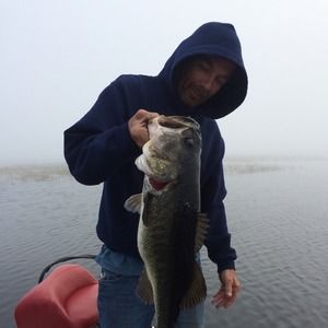 Meet your Posher, Todd